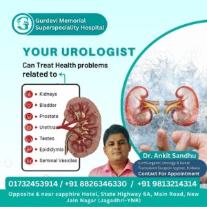 how much does urology surgery cost