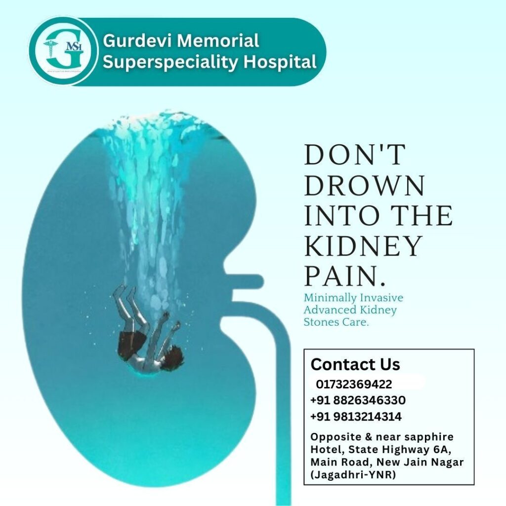 Air pollution impact on kidneys