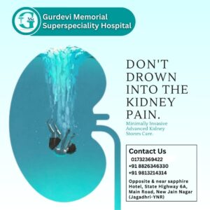 Air pollution impact on kidneys