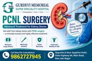 PCNL Surgery